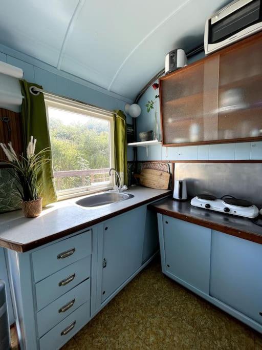 Fjordhytten. Rebuild Train Wagon From 1937. Lejlighed Odense Eksteriør billede